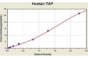 Diagramm of the ELISA kit to detect Human TAPwith the optical density on the x-axis and the concentration on the y-axis. (Trypsinogen Activation Peptide ELISA 试剂盒)