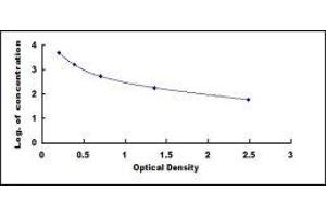 ELISA image for D-Dimer ELISA Kit (ABIN415014) (D-Dimer ELISA 试剂盒)