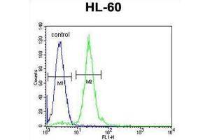 Flow Cytometry (FACS) image for anti-Carnitine Palmitoyltransferase 1C (CPT1C) antibody (ABIN2996207) (CPT1C 抗体)