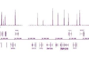 ChIP DNA-Sequencing (ChIP-seq) image for anti-Histone 3 (H3) (H3K4me3) antibody (ABIN2668472)