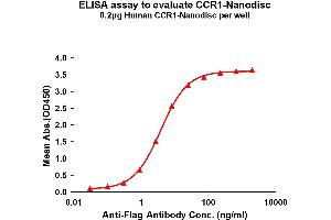 Elisa plates were pre-coated with Flag Tag -Nanodisc (0. (CCR1 蛋白)