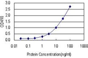 Sandwich ELISA detection sensitivity ranging from 0. (ATF1 (人) Matched Antibody Pair)