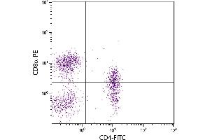 Porcine peripheral blood lymphocytes were stained with Mouse Anti-Porcine CD4-FITC. (CD4 抗体  (FITC))