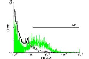 Flow Cytometry (FACS) image for anti-Stress-Induced-phosphoprotein 1 (STIP1) (AA 1-543) antibody (ABIN524365)