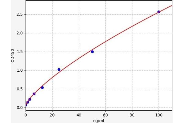 CD31 ELISA 试剂盒