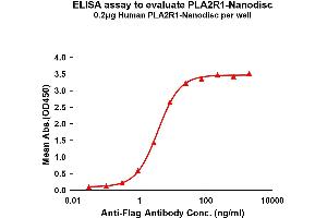 Elisa plates were pre-coated with Flag Tag R1-Nanodisc (0. (PLA2R1 蛋白)