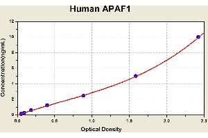 Diagramm of the ELISA kit to detect Human APAF1with the optical density on the x-axis and the concentration on the y-axis. (Apoptosis Protease Activating Factor 1 ELISA 试剂盒)