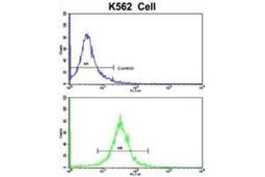 Flow Cytometry (FACS) image for anti-Complement Factor H-Related 1 (CFHR1) antibody (ABIN3002714) (CFHR1 抗体)