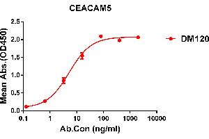 ELISA plate pre-coated by 1 μg/mL (100 μL/well) Human CEA protein, His tagged protein ABIN6961129, ABIN7042287 and ABIN7042288 can bind Rabbit anti-CEA monoclonal antibody  (clone: DM120) in a linear range of 0. (CEACAM5 抗体  (AA 35-685))