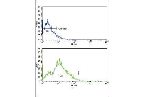 Flow Cytometry (FACS) image for anti-CD3g Molecule, gamma (CD3-TCR Complex) (CD3G) antibody (ABIN2998378) (CD3G 抗体)