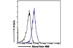 Flow Cytometry (FACS) image for anti-ADP-Ribosylation-Like Factor 6 Interacting Protein 5 (Arl6ip5) (C-Term) antibody (ABIN184829)