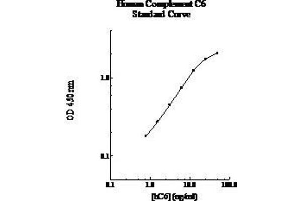 C6 ELISA 试剂盒