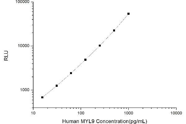 MYL9 CLIA Kit