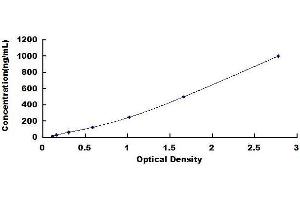 Typical standard curve (LPO ELISA 试剂盒)