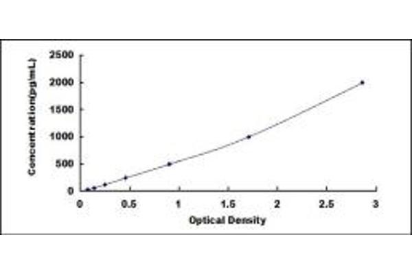 EGFL7 ELISA 试剂盒