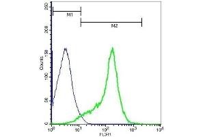 Flow Cytometry (FACS) image for anti-CD90 (THY1) (AA 31-120) antibody (ABIN728038)