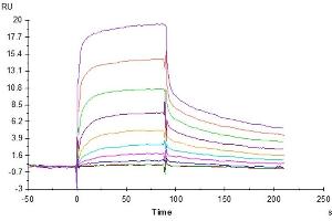 Surface Plasmon Resonance (SPR) image for neonatal Fc Receptor (FcRn) (AA 24-297) protein (His tag) (ABIN7274676)