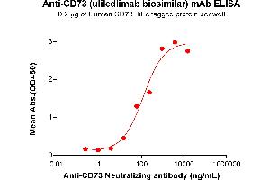 ELISA plate pre-coated by 2 μg/mL (100 μL/well) Human CD73 Protein, hFc Tag (ABIN6964149, ABIN7042505 and ABIN7042506) can bind Anti-CD73 Neutralizing antibody (ABIN7478021 and ABIN7490975) in a linear range of 3. (Recombinant CD73 (Uliledlimab Biosimilar) 抗体)