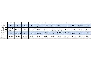 Image no. 1 for Human Cytokine Array C12 (ABIN4955898) (人 Cytokine Array C12)