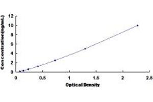 Typical standard curve (KIR2DS4 ELISA 试剂盒)