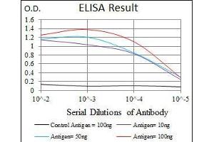 Black line: Control Antigen (100 ng), Purple line: Antigen(10 ng), Blue line: Antigen (50 ng), Red line: Antigen (100 ng), (DLL4 抗体  (AA 313-439))