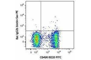 Flow Cytometry (FACS) image for anti-Chemokine (C-X-C Motif) Receptor 5 (CXCR5) antibody (Biotin) (ABIN2660751) (CXCR5 抗体  (Biotin))