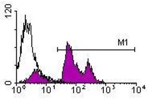 Image no. 1 for anti-CD45 (CD45.2 Allogen) antibody (Biotin) (ABIN135326) (CD45.2 抗体  (Biotin))