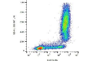 Flow cytometry analysis (surface staining) of human peripheral blood with anti-human CD11b (MEM-174) PE. (CD11b 抗体  (PE))