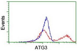 Flow Cytometry (FACS) image for anti-ATG3 Autophagy Related 3 (ATG3) antibody (ABIN1496763) (ATG3 抗体)
