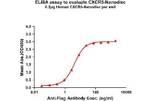 Elisa plates were pre-coated with Flag Tag C-Nanodisc (0. (CXCR5 蛋白)