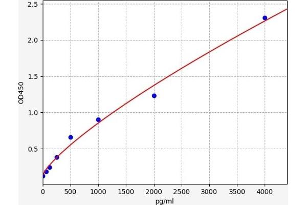 ACPP ELISA 试剂盒