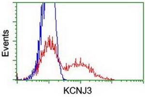 Flow Cytometry (FACS) image for anti-Potassium Inwardly-Rectifying Channel, Subfamily J, Member 3 (KCNJ3) (AA 279-501) antibody (ABIN1491313) (KCNJ3 抗体  (AA 279-501))