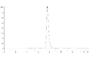 Size-exclusion chromatography-High Pressure Liquid Chromatography (SEC-HPLC) image for CD40 (CD40) (AA 21-193) protein (His-Avi Tag,Biotin) (ABIN7274186)