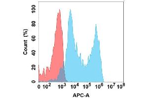 Flow cytometry analysis with Anti-B7H5 on Expi293 cells transfected with human B7H5 (Blue histogram) or Expi293 transfected with irrelevant protein (Red histogram). (VTCN1 抗体)