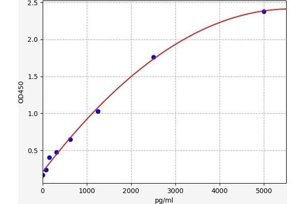 IMPDH2 ELISA 试剂盒