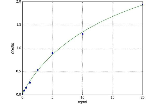 LIM Domain Kinase 1 ELISA 试剂盒