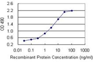 Sandwich ELISA detection sensitivity ranging from 0. (PNMA1 (人) Matched Antibody Pair)