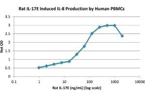 SDS-PAGE of Rat Interleukin-17E (IL-25) Recombinant Protein Bioactivity of Rat Interleukin-17E (IL-25) Recombinant Protein. (IL-25 蛋白)