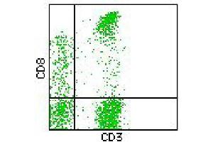 Flow Cytometry (FACS) image for anti-CD3/CD8 antibody (FITC,PE) (ABIN2144398) (CD3/CD8 抗体 (FITC,PE))
