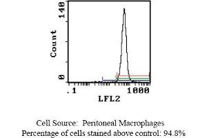 Mouse anti OX-43 Antigen OX-43 (Endothelium 抗体)