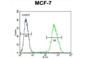 Flow Cytometry (FACS) image for anti-LIM Domain Only 4 (LMO4) antibody (ABIN2995822) (LMO4 抗体)