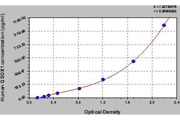 QSOX1 ELISA 试剂盒