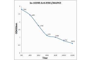 ELISA image for anti-Mitogen-Activated Protein Kinase 3 (MAPK3) (AA 101-200) antibody (ABIN736476)