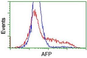 Image no. 1 for anti-alpha-Fetoprotein (AFP) antibody (ABIN1496486) (alpha Fetoprotein 抗体)