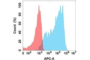 Flow cytometry analysis with Anti-C (DM208) on Expi293 cells transfected with human C (Blue histogram) or Expi293 transfected with irrelevant protein (Red histogram). (CXCR3 抗体)