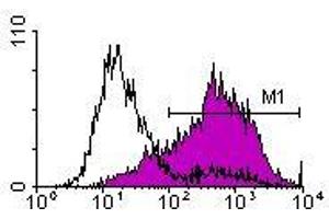 Image no. 1 for anti-Interleukin 2 Receptor, alpha (IL2RA) antibody (FITC) (ABIN135172) (CD25 抗体  (FITC))