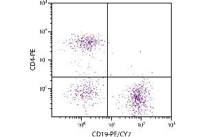 C57BL/6 mouse splenocytes were stained with Rat Anti-Mouse CD19-PE/CY7. (CD19 抗体  (PE-Cy7))