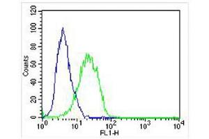 Overlay histogram showing A549 cells stained with C (green line). (Adrenomedullin 抗体  (AA 69-96))