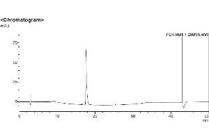 High Pressure Liquid Chromatography (HPLC) image for Human Serum Albumin (HSA) protein (ABIN7539880) (HSA 蛋白)