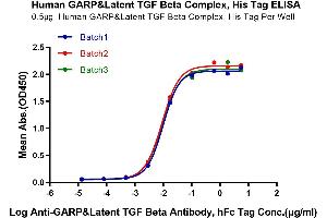 ELISA image for GARP & Latent TGF beta 1 Complex (AA 20-628) protein (His-Avi Tag) (ABIN7274705)